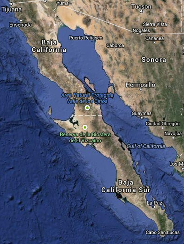 Baja California
