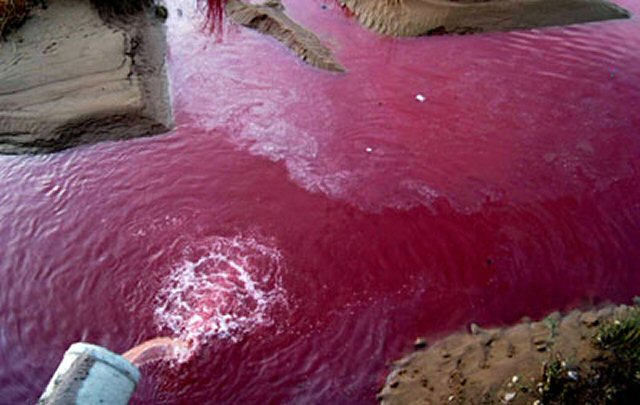 Pink pollution