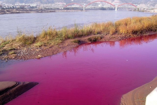 Pink pollution & city