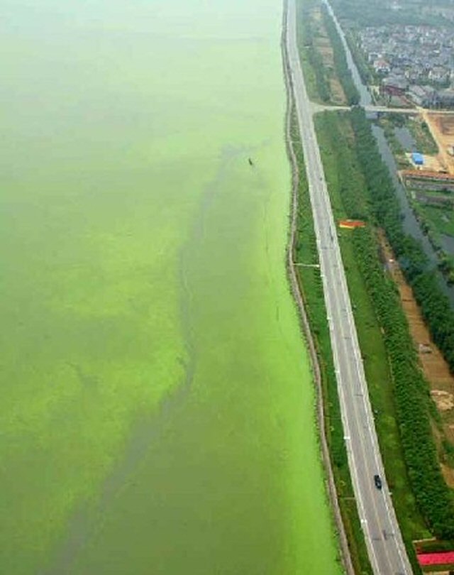 Polluted Green Lake